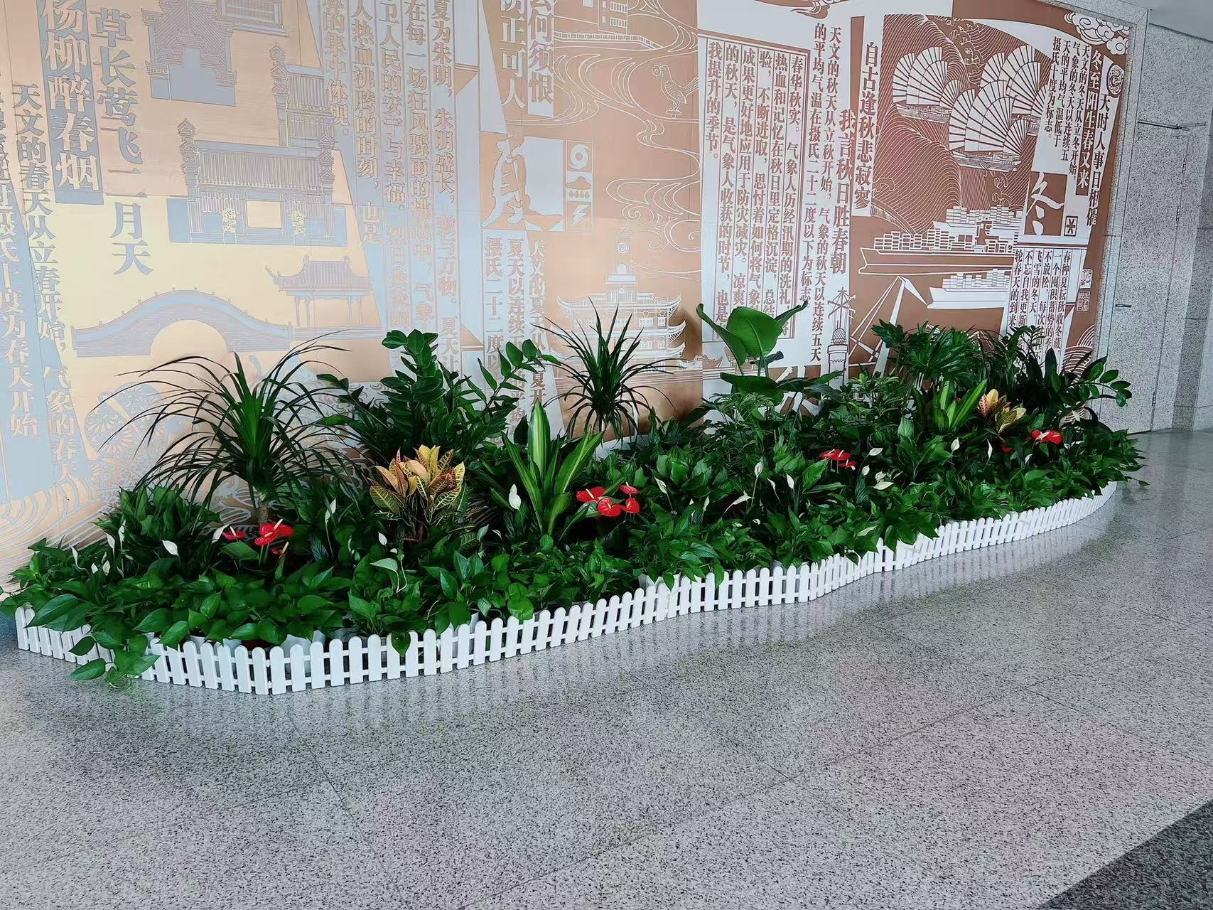 慈溪盆景出租价格实惠